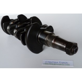 50 CV 4T ALBERO A GOMITI MARINER MERCURY 831279 50ELPT4S