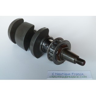 F8 F9.9 VILEBREQUIN 8 - 9.9 CV 4T YAMAHA 6AU 6AUK