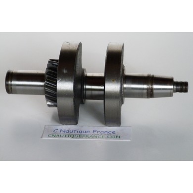 DF4 DF6 ALBERO A GOMITI 4 - 6 CV 4T SUZUKI 91J