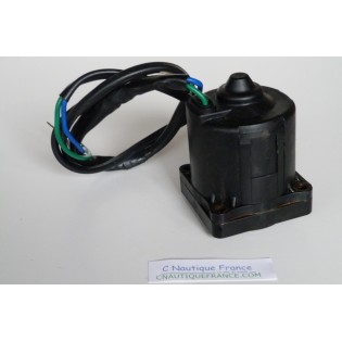 MOTEUR DE TRIM POUR 60 - 300 CV 4T HORS-BORD SUZUKI