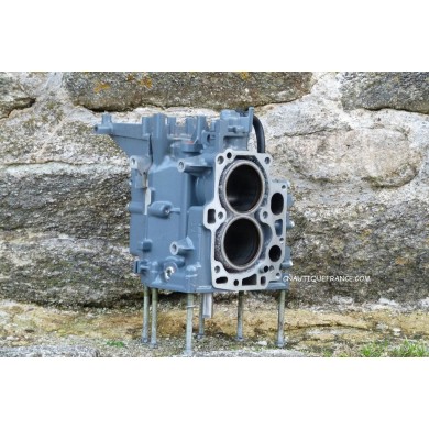 F9.9J BLOC MOTEUR 9.9 CV 4T YAMAHA 6AU 6AVKS