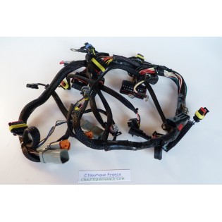 Faisceau de cable 40 - 60 cv evinrude e-tec 586863