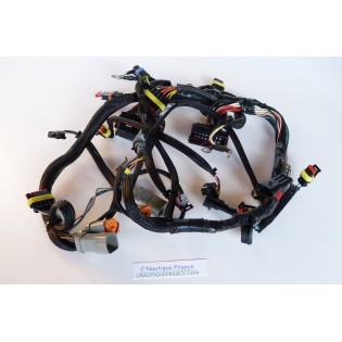 40 - 60 CV CABLAGGIO ELETTRICO ETEC EVINRUDE 586603