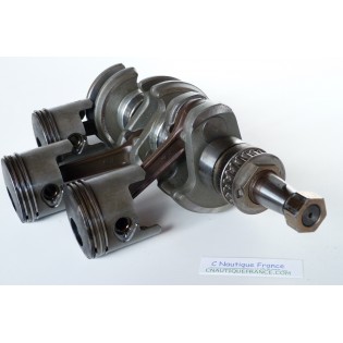 40 - 50 HP ALBERO A GOMITI TOHATSU 3T5 TLDI