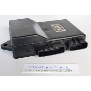 150 - 300 CV 2T DRIVER INJECTION YAMAHA HPDI 6D0