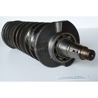 200 - 300 CV ALBERO A GOMITI YAMAHA 6D0 HPDI