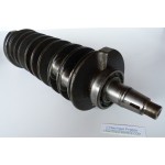 200 - 300 CV ALBERO A GOMITI YAMAHA 6D0 HPDI