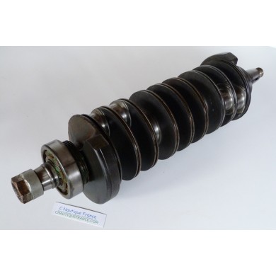 200 - 300 CV ALBERO A GOMITI YAMAHA 6D0 HPDI