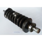 200 - 300 CV ALBERO A GOMITI YAMAHA 6D0 HPDI