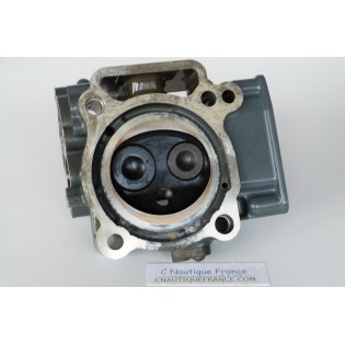 DF25 CULASSE 25 CV SUZUKI 95J  V TWIN