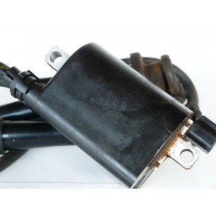 BOBINE ALLUMAGE 90 - 140 CV 4T SUZUKI EVINRUDE JOHNSON 90J 92J