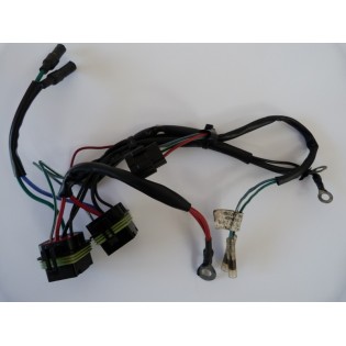 faisceau électrique mercury 84 819514T16