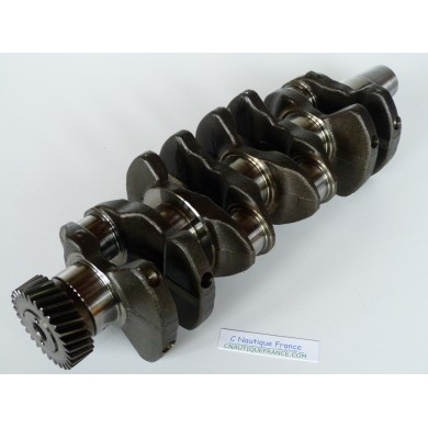 90 - 140 HP 4S CRANKSHAFT JOHNSON EVINRUDE SUZUKI 5033523