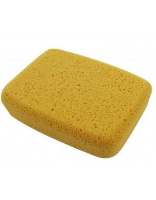 SPONGE