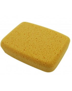 SPONGE